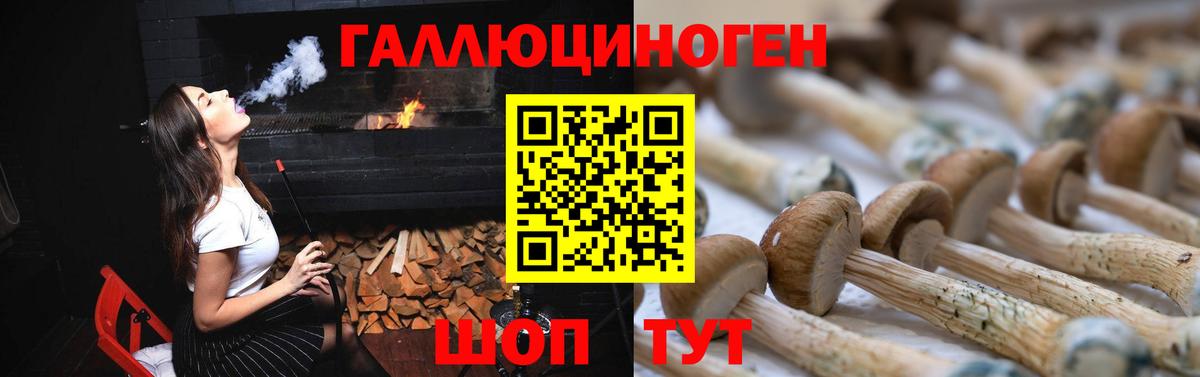 Псилоцибиновые грибы Psilocybe  Вход с VPN  Советский 